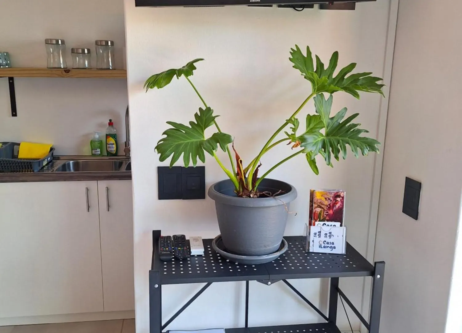 Casa Ilanga Guesthouse Somerset West Oda ve Kahvaltı